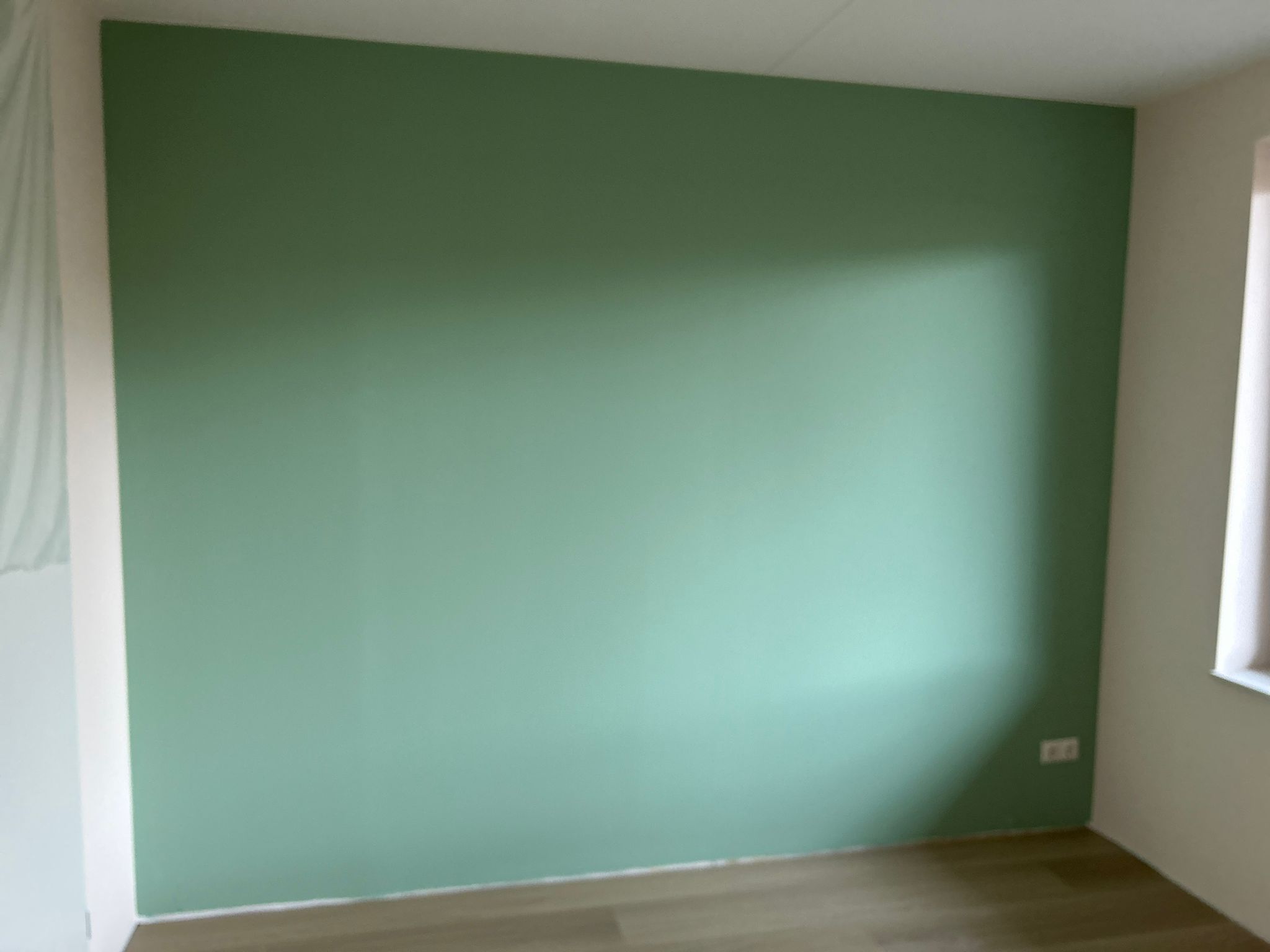 Donkergroene Accentmuur